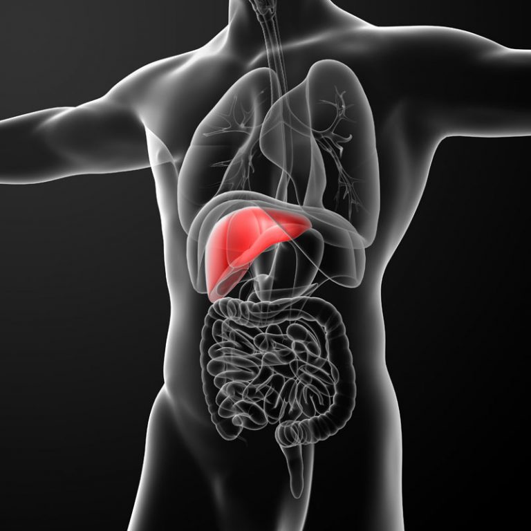 Treatig the Symptoms of Liver Disease | Your Body Can Heal